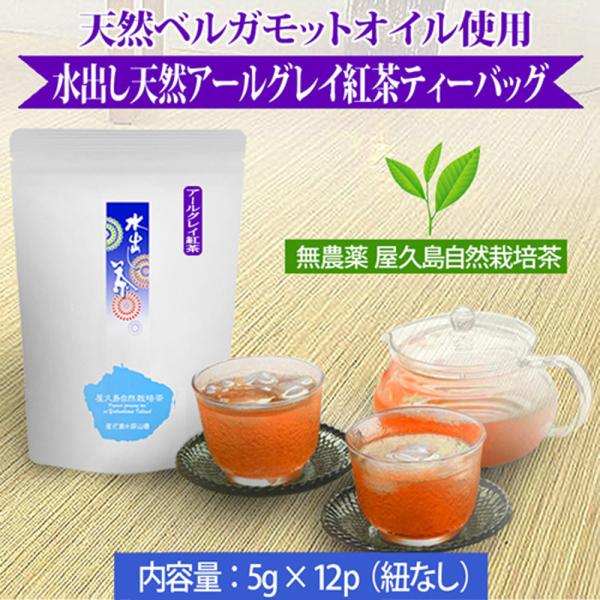 紅茶 天然 アールグレイ ティーバッグ 5gx12 紐なし 無農薬 無化学肥料 残留農薬 ゼロ 水出...