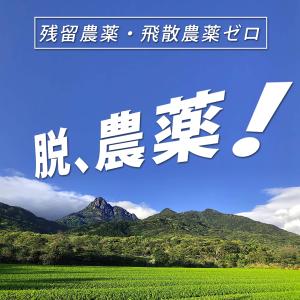 水出し(冷温共用)【2026 有機 新茶】無農...の詳細画像5