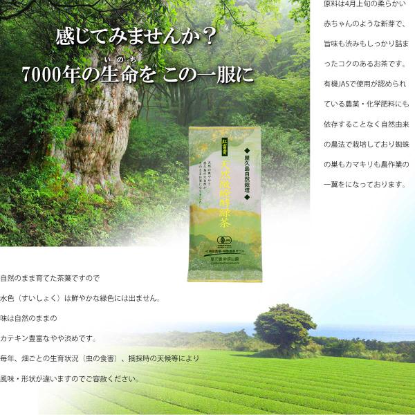 【 2025 有機 新茶 】お茶 有機 緑茶 屋久島 自然栽培「縄文」100ｇ×3 ギフト ◆箱入り...
