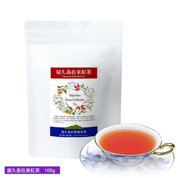 在来紅茶 100ｇ《屋久島自然栽培茶です》無農薬 無化学肥料 残留農薬ゼロ 和紅茶