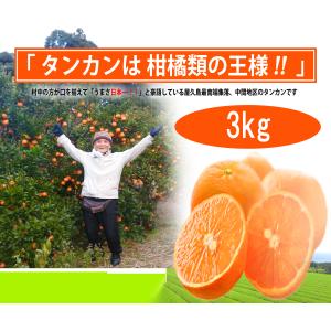 屋久島 たんかん 3kg《村中の方が、うまさ日本一と豪語!!》上物 M L LL LLL 未選別混載 タンカン（約5.5〜9.0ｃｍ）ご家庭用 ご贈答用 ギフト