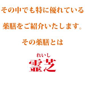霊芝 120g れいし レイシ 赤霊芝 漢方 ...の詳細画像3