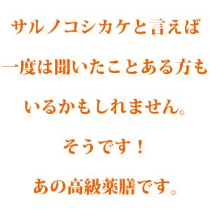 霊芝 120g れいし レイシ 赤霊芝 漢方 ...の詳細画像5