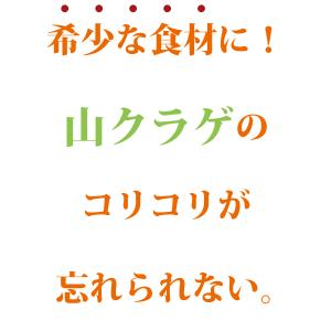 山くらげ 乾燥 100g×2袋 200g 無農...の詳細画像3