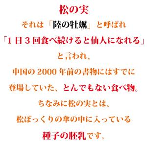 松の実100g 大粒 クリーミー 新物限定 と...の詳細画像1