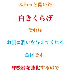 白きくらげ 200g 無農薬 無添加 乾燥 白...の詳細画像2