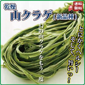 山クラゲ 250g×2袋 山くらげ 乾燥山クラゲ 無農薬