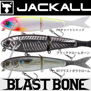 Coike Thunder ソフトルアー 16個セット HIDEUP（ハイドアップ） 【ルアー ワーム ハイドアップ 】Coike