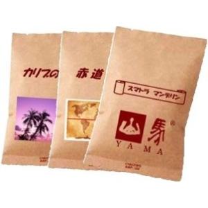送料無料　おためしＣ