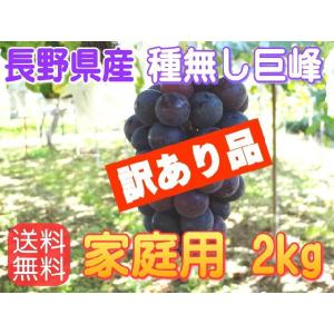 【送料無料】【訳あり品】信州長野県産、種無し巨峰２ｋｇ！９月下旬頃から順次発送！