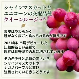 【家庭用】クイーンルージュ(R) 2kg 長野...の詳細画像1