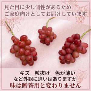 【家庭用】クイーンルージュ(R) 2kg 長野...の詳細画像3