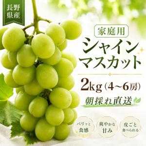 【家庭用】シャインマスカット ２kg 長野県産 訳あり 種なし 皮ごと食べられる 甘い ぶどう 産地直送 9月下旬から順次発送 予約受付中