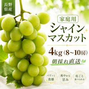 【家庭用】シャインマスカット ４kg 長野県産 訳あり 種なし 皮ごと食べられる 甘い ぶどう 産地直送 9月下旬から順次発送 予約受付中