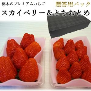 いちご 送料無料 スカイベリー とちおとめ 栃木県産 詰め合わせセット 贈答用化粧箱入り 1箱300g×2パック 期間限定 産地直送 日時指定は出来ません。