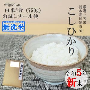 新米 無洗米 コシヒカリ 令和5年産 一等米 お試し 送料無料 750g 5合 栃木県 日光産 2023年