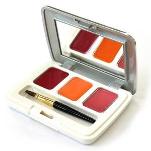ピアベルピア リップパレットケース 容器のみ リップブラシ付 やまさか薬局ヤフー店 通販 Yahoo ショッピング