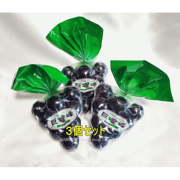 巨峰ひとくちゼリー３袋セット（新規格10玉入）