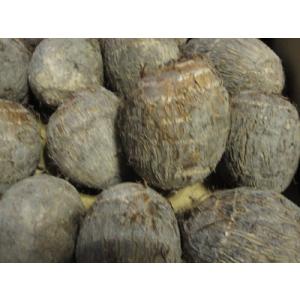 やはたいも（３Lサイズ）　２ｋｇ箱 ※日にち指定不可