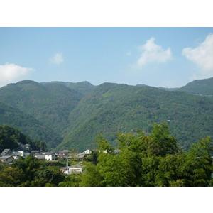 香川県産 もち麦(ダイシモチ) 5kg×1袋 ...の詳細画像5