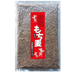 もち麦　ダイシモチ　1kg　雑穀　穀類　国産　残留農薬ゼロ不検出