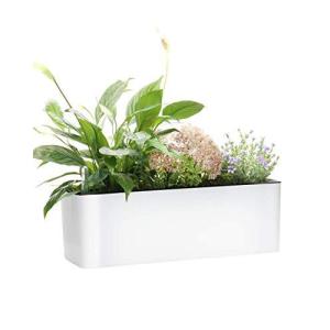 細長いプランターの商品一覧 通販 Yahoo ショッピング