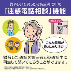 パナソニック VE-GD58DL-N デジタル...の詳細画像4