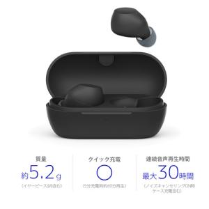 ソニー ワイヤレス イヤホン 左右分離 ノイズ...の詳細画像1