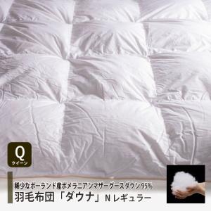 在庫限り】[シングル] 大塚家具 羽毛布団「ダウナ Nミディアム