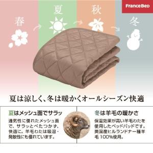 フランスベッド セレクト3点セット羊毛メッシュ...の詳細画像2