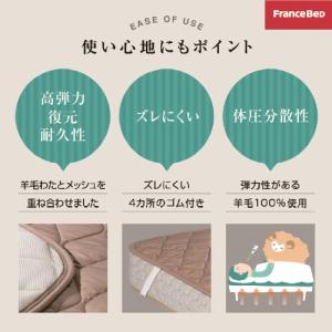フランスベッド セレクト3点セット羊毛メッシュ...の詳細画像3