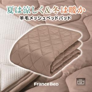 フランスベッド セレクト3点セット羊毛メッシュ...の詳細画像1
