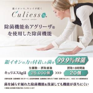 [キング]フランスベッド ベッドパッドLTフィ...の詳細画像3