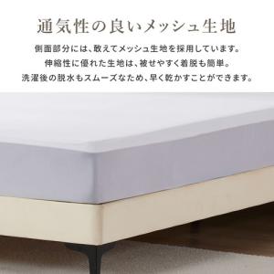[ワイドキング]篠原化学 Save Your ...の詳細画像5
