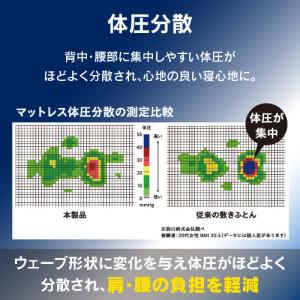 【期間限定大特価】【在庫限り】西川 SLEEP...の詳細画像2