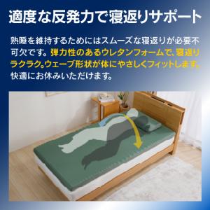 【期間限定大特価】【在庫限り】西川 SLEEP...の詳細画像3