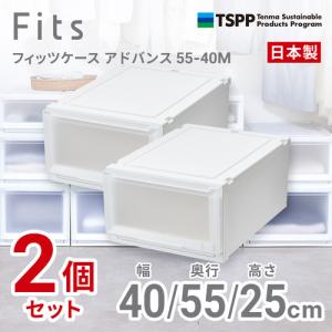 天馬 フィッツケース アドバンス 5540M 2個組 高さ25cm 収納ケース クローゼット Wクリア