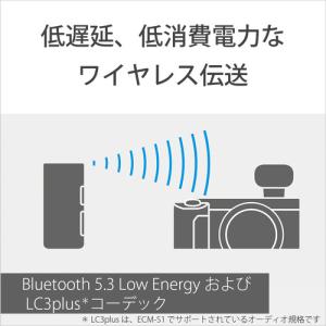 ソニー ECM-W3 ワイヤレスマイクロホン ...の詳細画像2