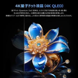 TCL 50T6D 50V型 量子ドット 4K...の詳細画像3