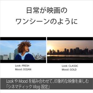 ソニー ZV-1M2B VLOGCAM ZV-...の詳細画像5