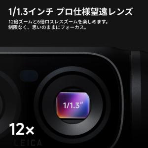 Insta360 CINSABTA-LUNAU...の詳細画像4