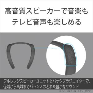 ソニー SRS-NB10 HC ワイヤレスネッ...の詳細画像4