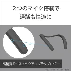 ソニー SRS-NB10 HC ワイヤレスネッ...の詳細画像5