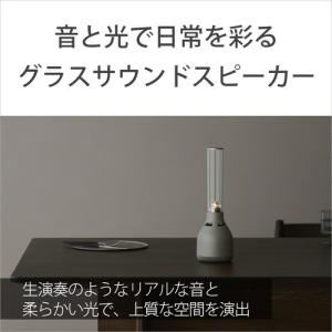 ソニー LSPX-S3 グラスサウンドスピーカーの詳細画像1