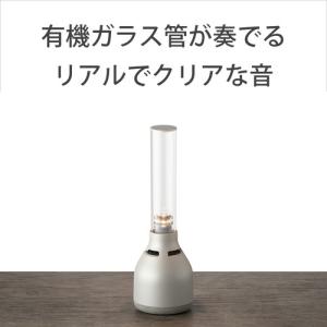 ソニー LSPX-S3 グラスサウンドスピーカーの詳細画像2