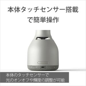 ソニー LSPX-S3 グラスサウンドスピーカーの詳細画像4