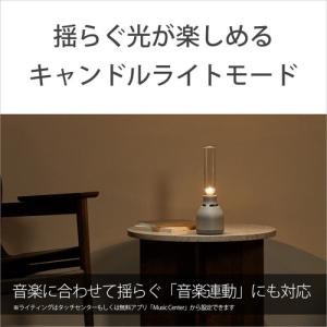 ソニー LSPX-S3 グラスサウンドスピーカーの詳細画像5