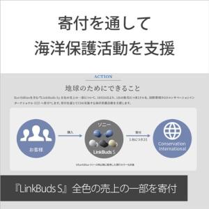 ソニー ワイヤレス イヤホン 左右分離 ノイズ...の詳細画像5