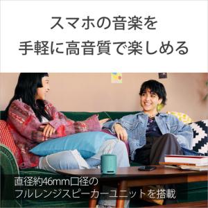 ソニー SRS-XB100 LC ワイヤレスポ...の詳細画像4