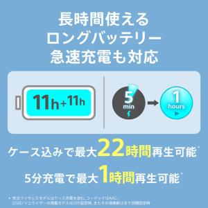 ソニー ワイヤレス イヤホン 左右分離 IPX...の詳細画像5